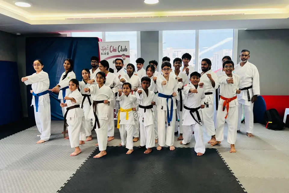Students of every belt colour practising together