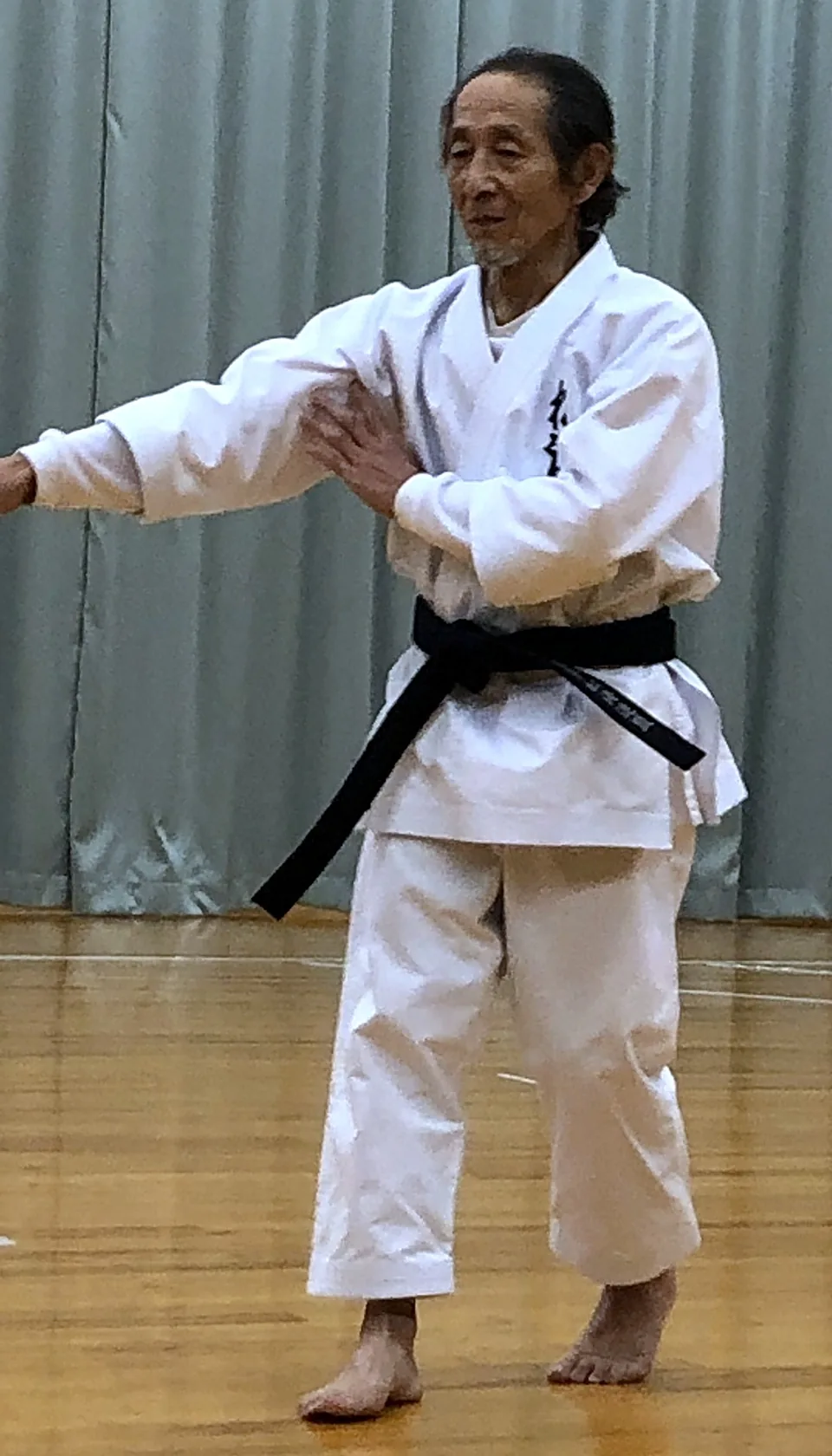 Senior Japanese karate master demonstrating a kata stance